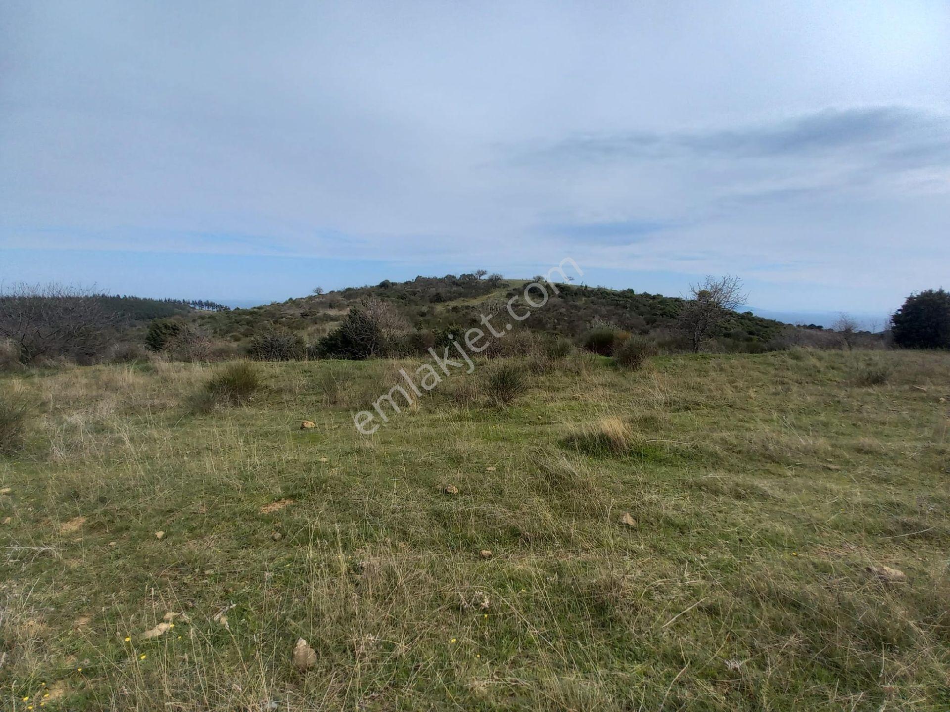 Kumbağda Deniz Manzaralı Kupon Arazi - Görsel 5