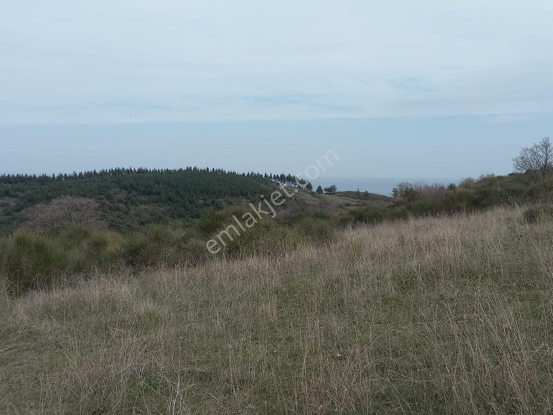 Kumbağda Deniz Manzaralı Kupon Arazi - Görsel 11