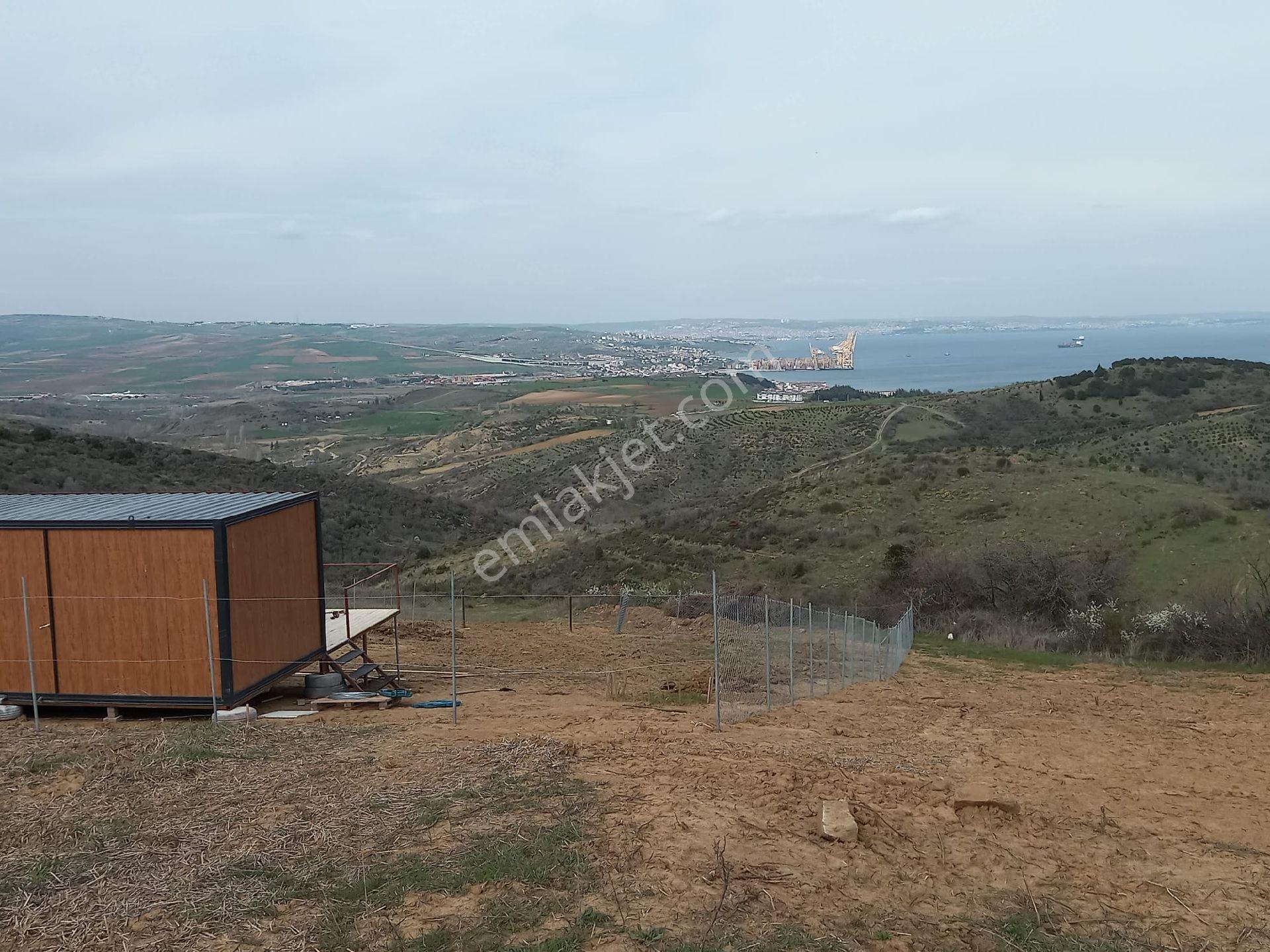 Kumbağda Deniz Manzaralı Kupon Arazi