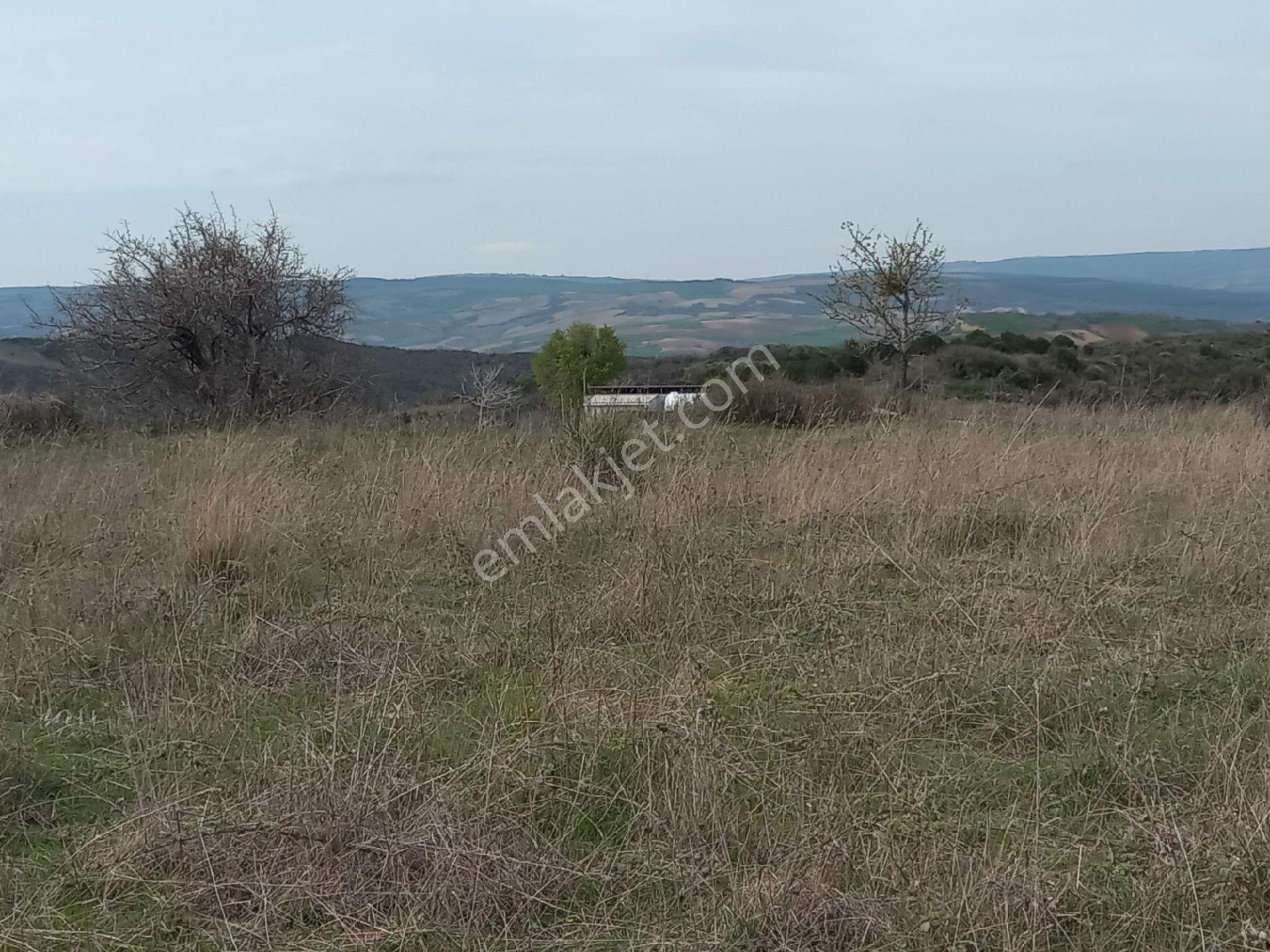 Kumbağda Deniz Manzaralı Kupon Arazi - Görsel 8
