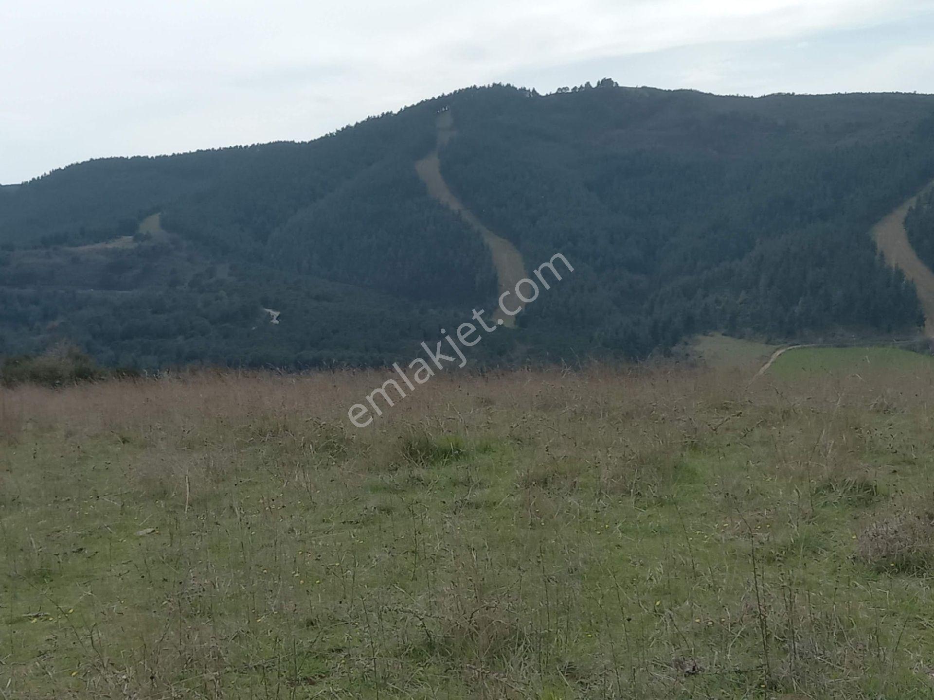 Kumbağda Deniz Manzaralı Kupon Arazi - Görsel 16