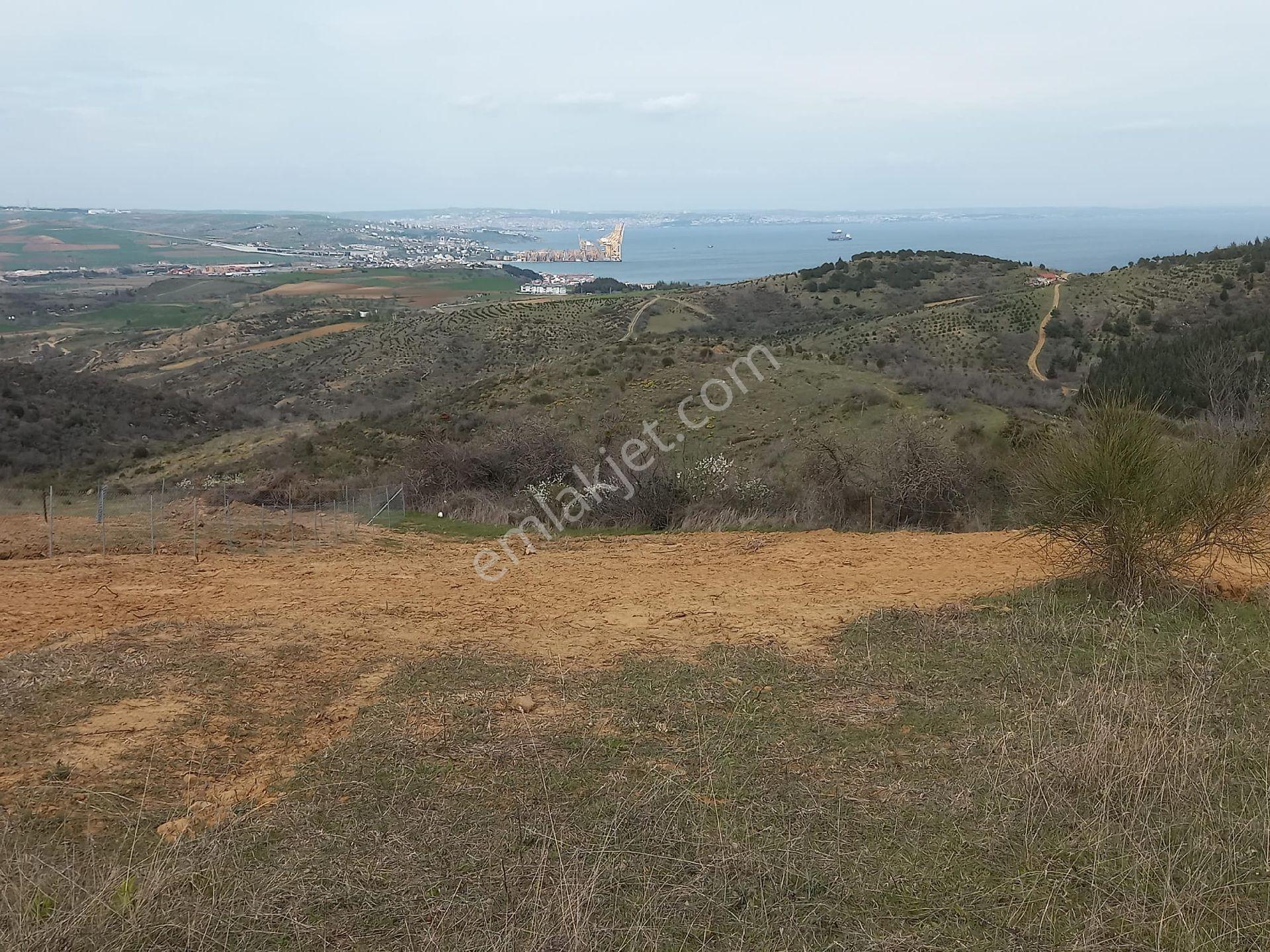 Kumbağda Deniz Manzaralı Kupon Arazi - Görsel 9