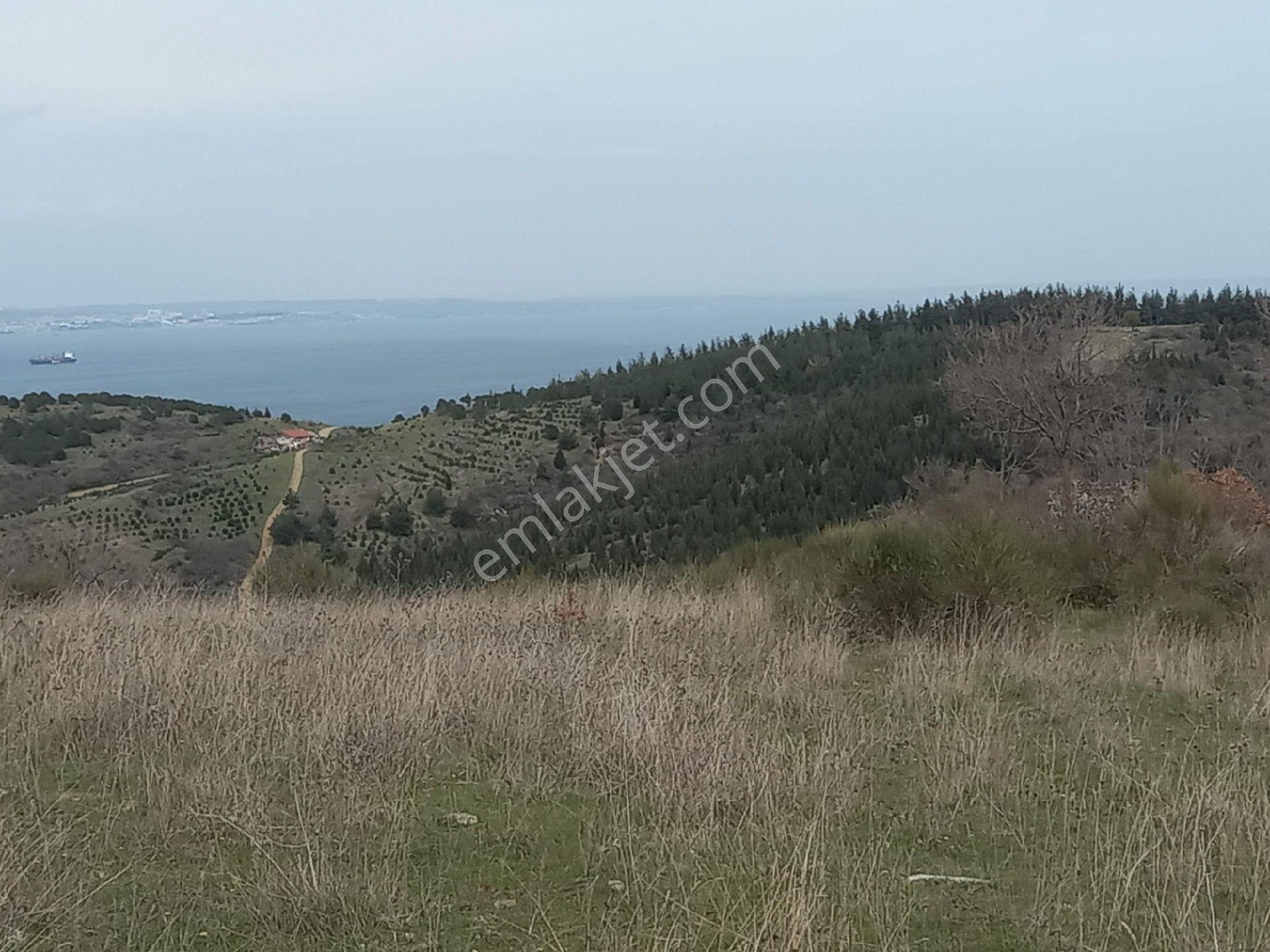 Kumbağda Deniz Manzaralı Kupon Arazi - Görsel 17