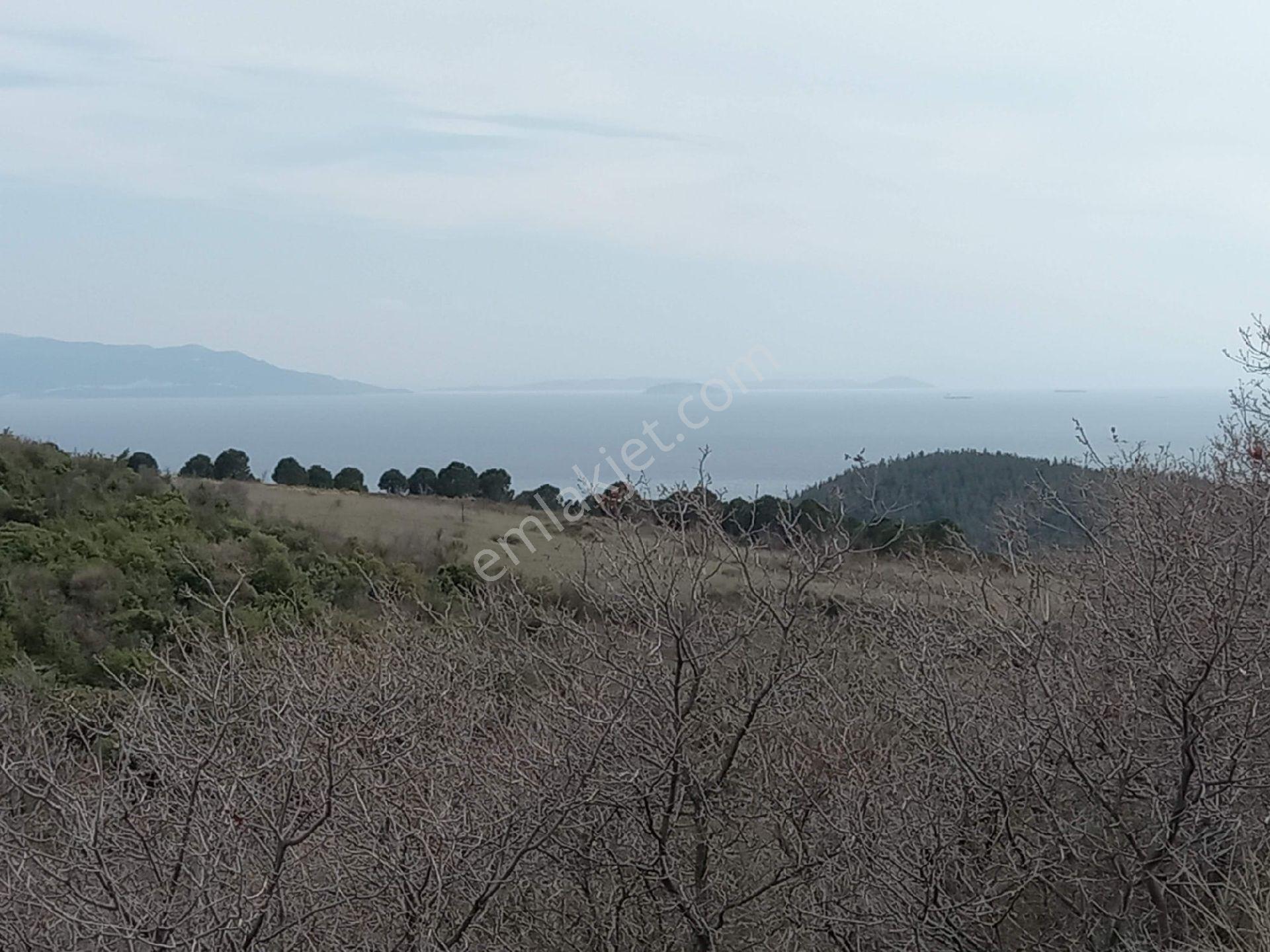 Kumbağda Deniz Manzaralı Kupon Arazi - Görsel 13