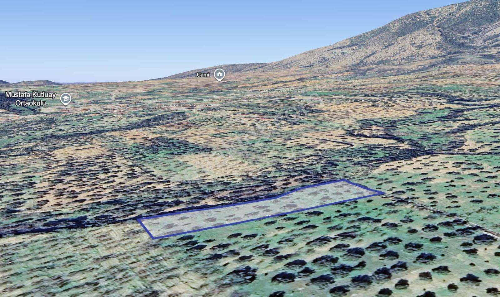 Datça Cumalı Mahallesinde 3.784m² Satılık Zeytinlik - Görsel 4