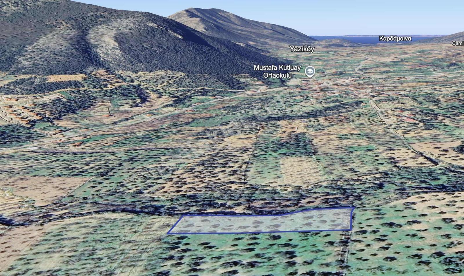 Datça Cumalı Mahallesinde 3.784m² Satılık Zeytinlik - Görsel 12