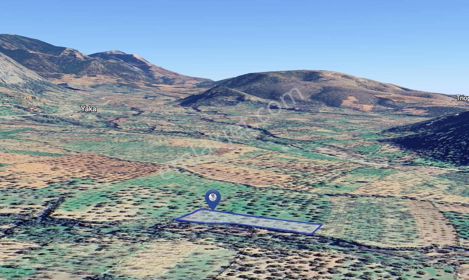 Datça Cumalı Mahallesinde 3.784m² Satılık Zeytinlik - Görsel 9