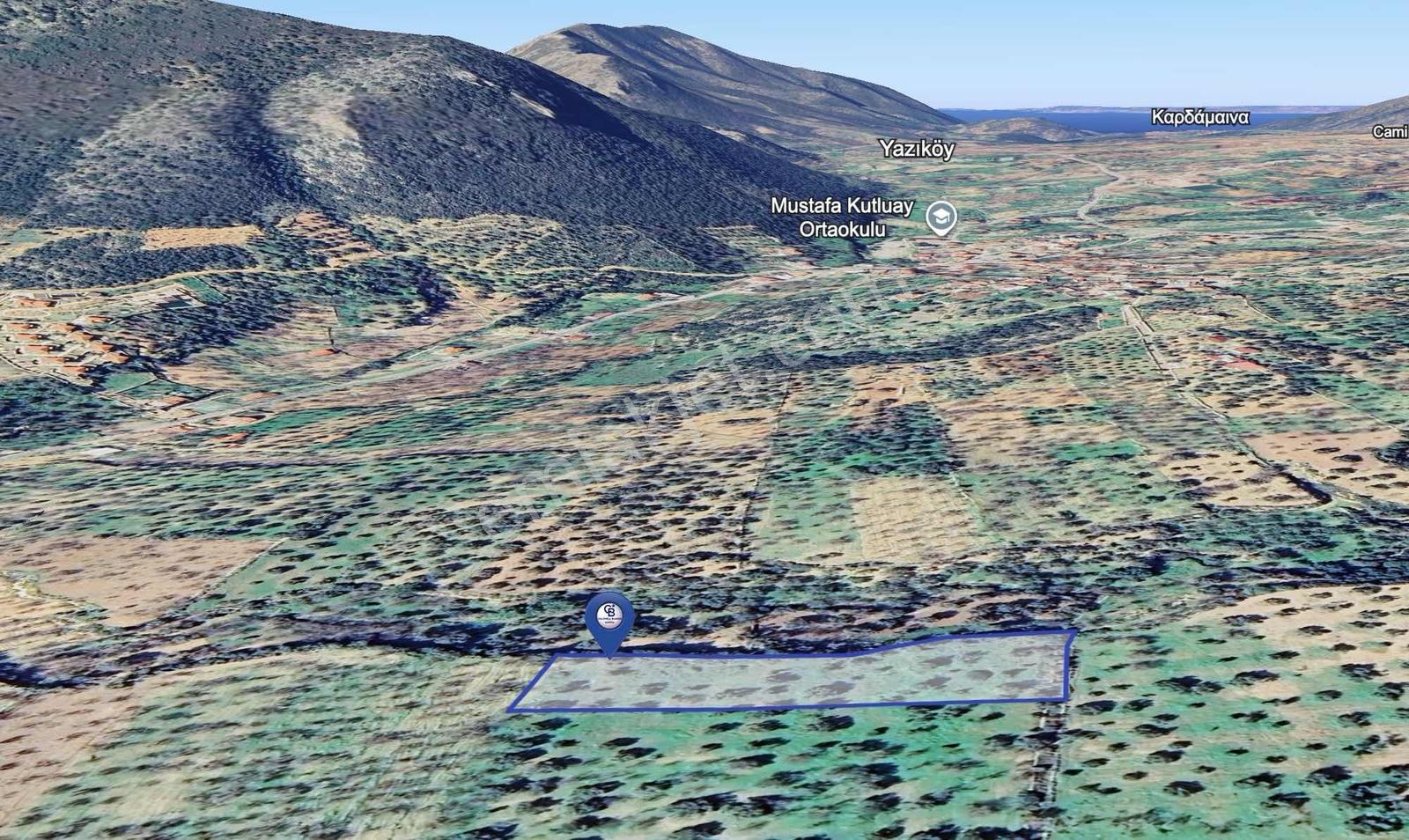 Datça Cumalı Mahallesinde 3.784m² Satılık Zeytinlik - Görsel 7