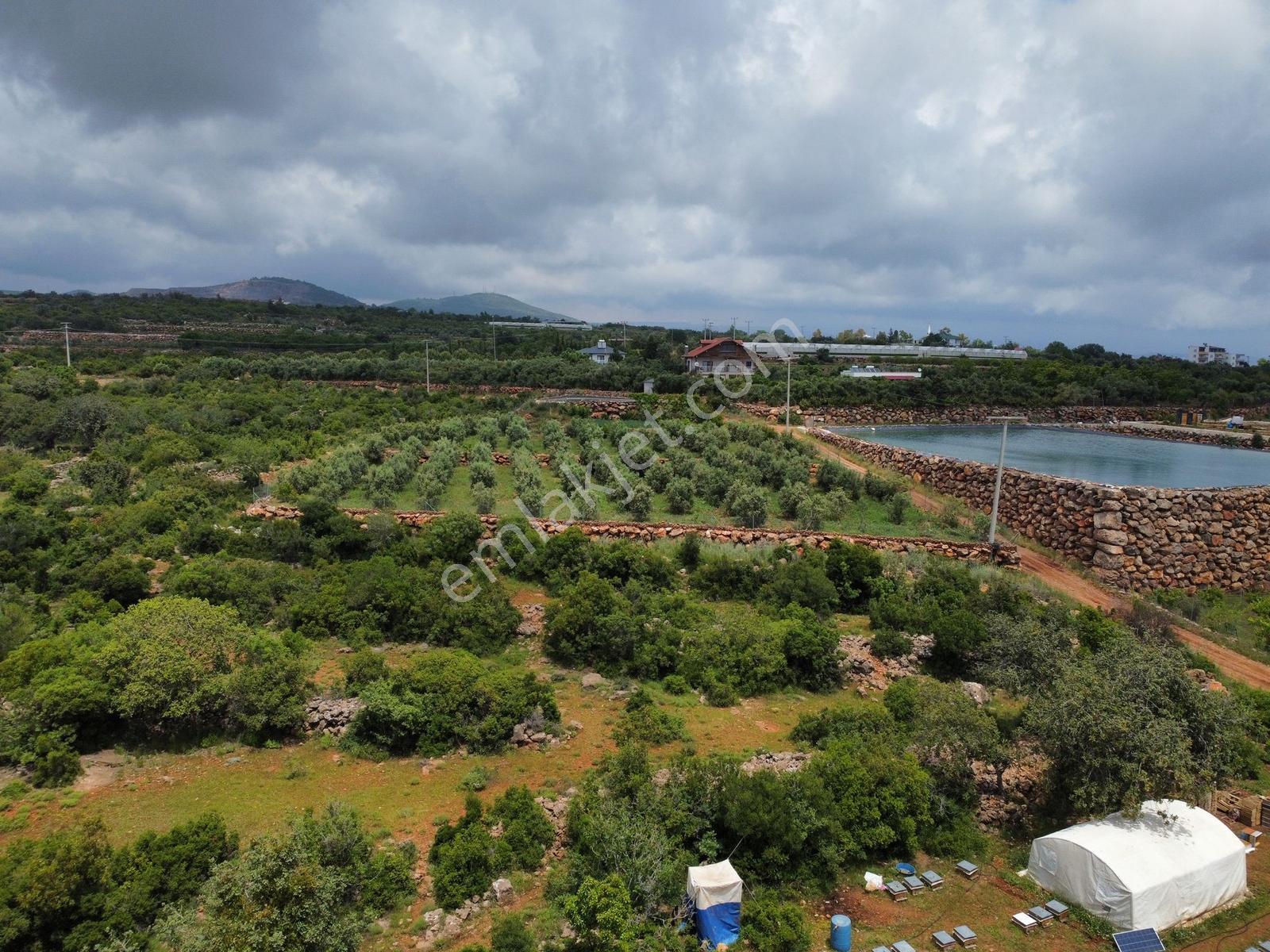 Kumkuyu Çanakçı Mahallesinde Full Deniz Manzaralı Satılık Tarla - Görsel 8