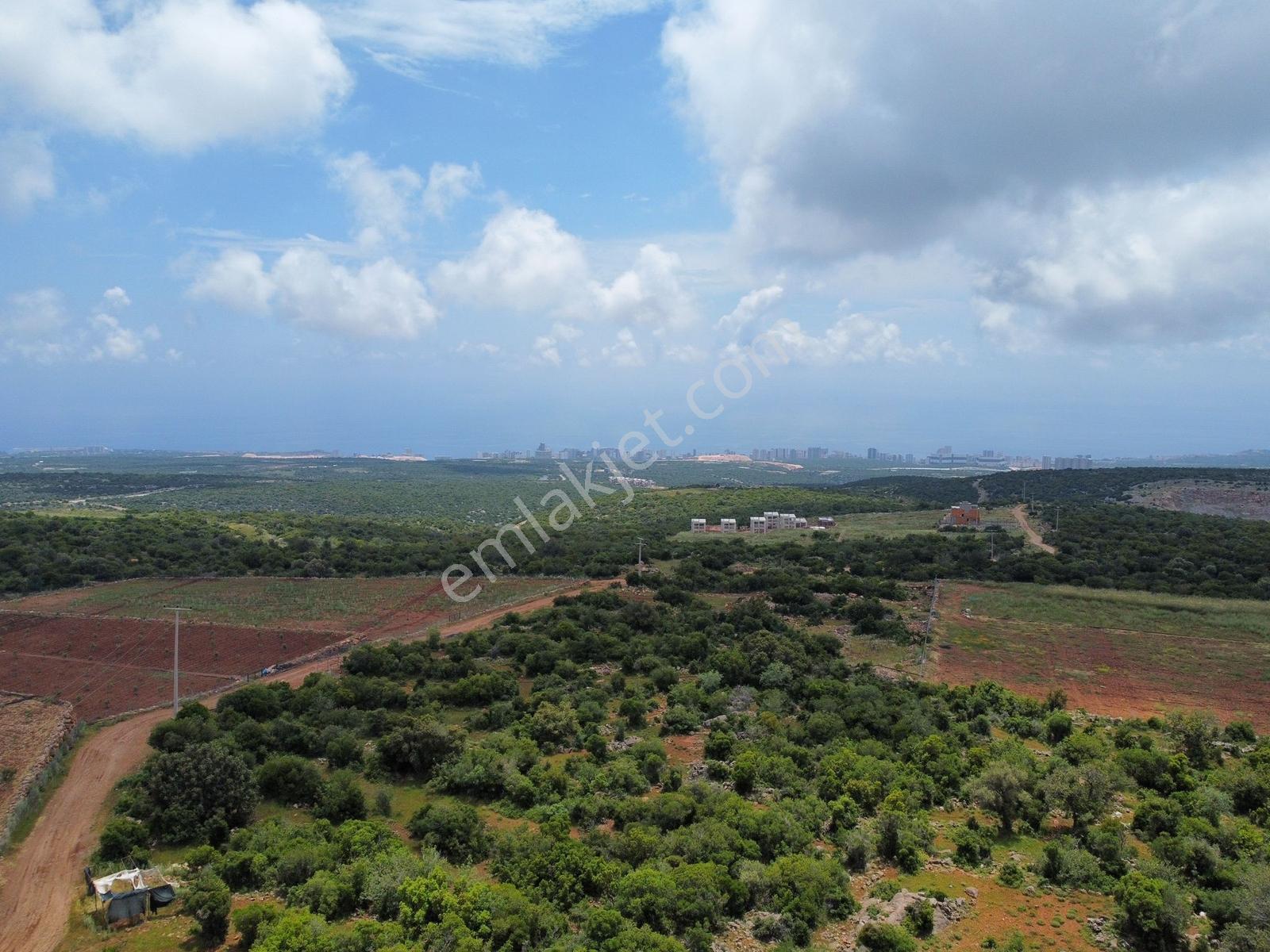 Kumkuyu Çanakçı Mahallesinde Full Deniz Manzaralı Satılık Tarla - Görsel 2
