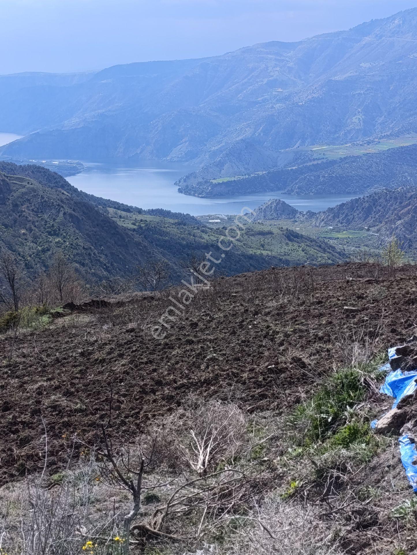 Çalyayla Köyünde 8650m2 Tarla