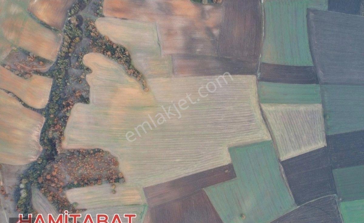 Lüleburgaz'da 120 Dönüm Satılık Arazi - Görsel 8