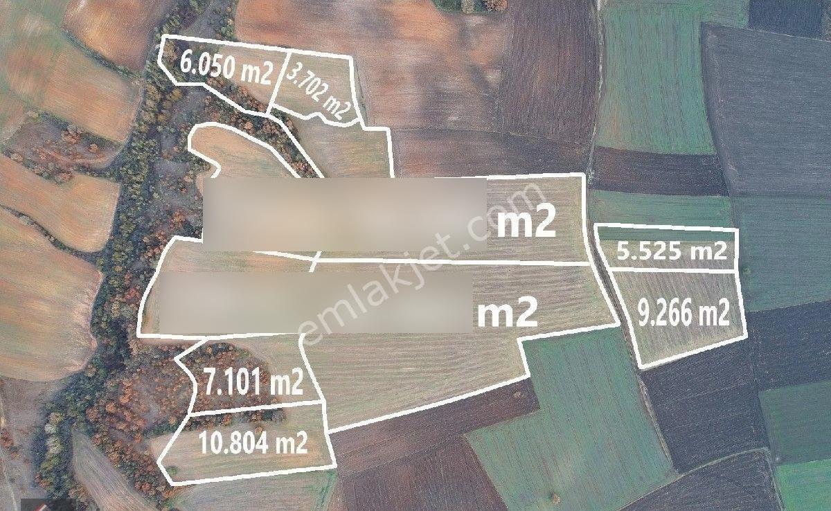 Lüleburgaz'da 120 Dönüm Satılık Arazi - Görsel 17