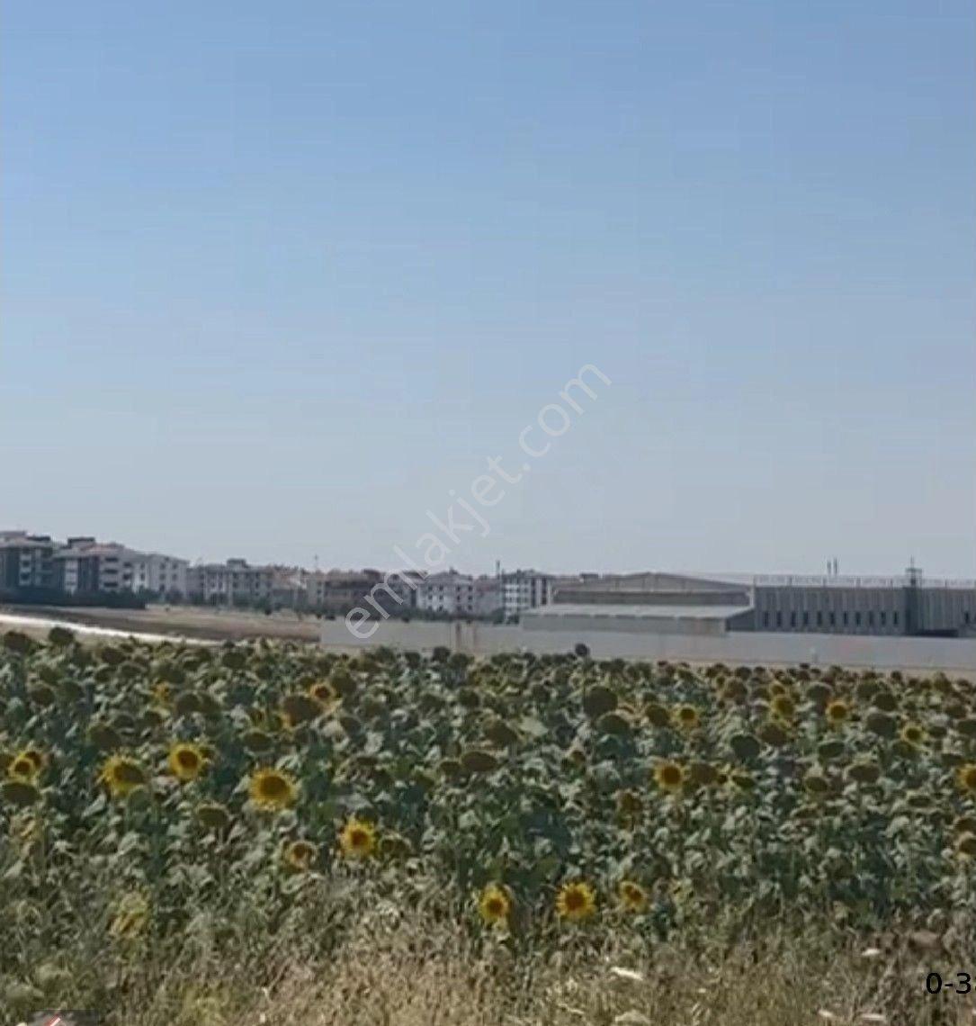 Lüleburgaz Da Sanayi İmarli Arsa - Görsel 8