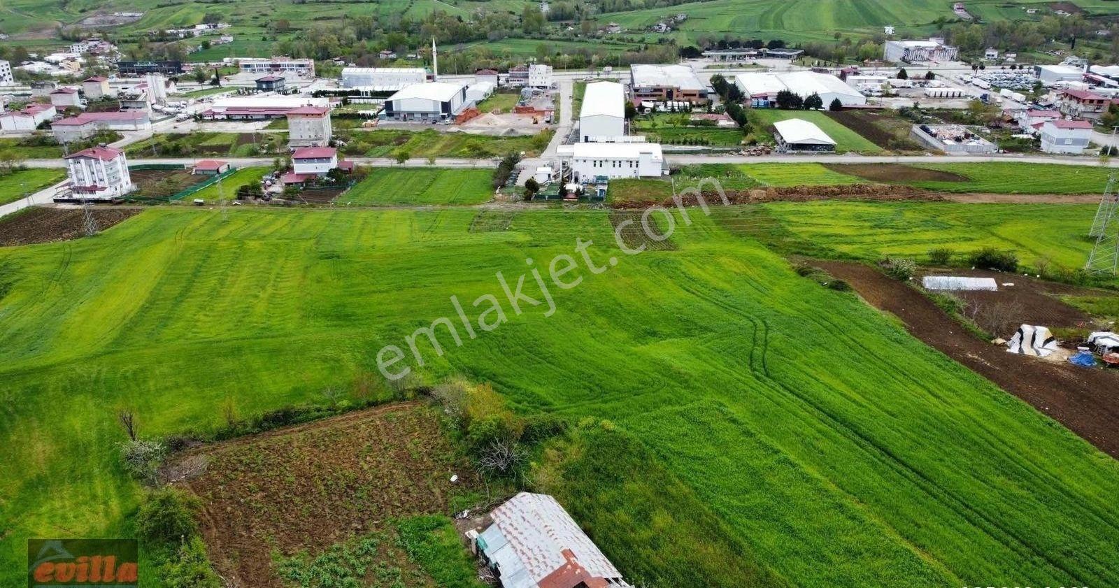 Toybelende Kazançlı Bir Yatırım 390 M2 Hisse - Görsel 5