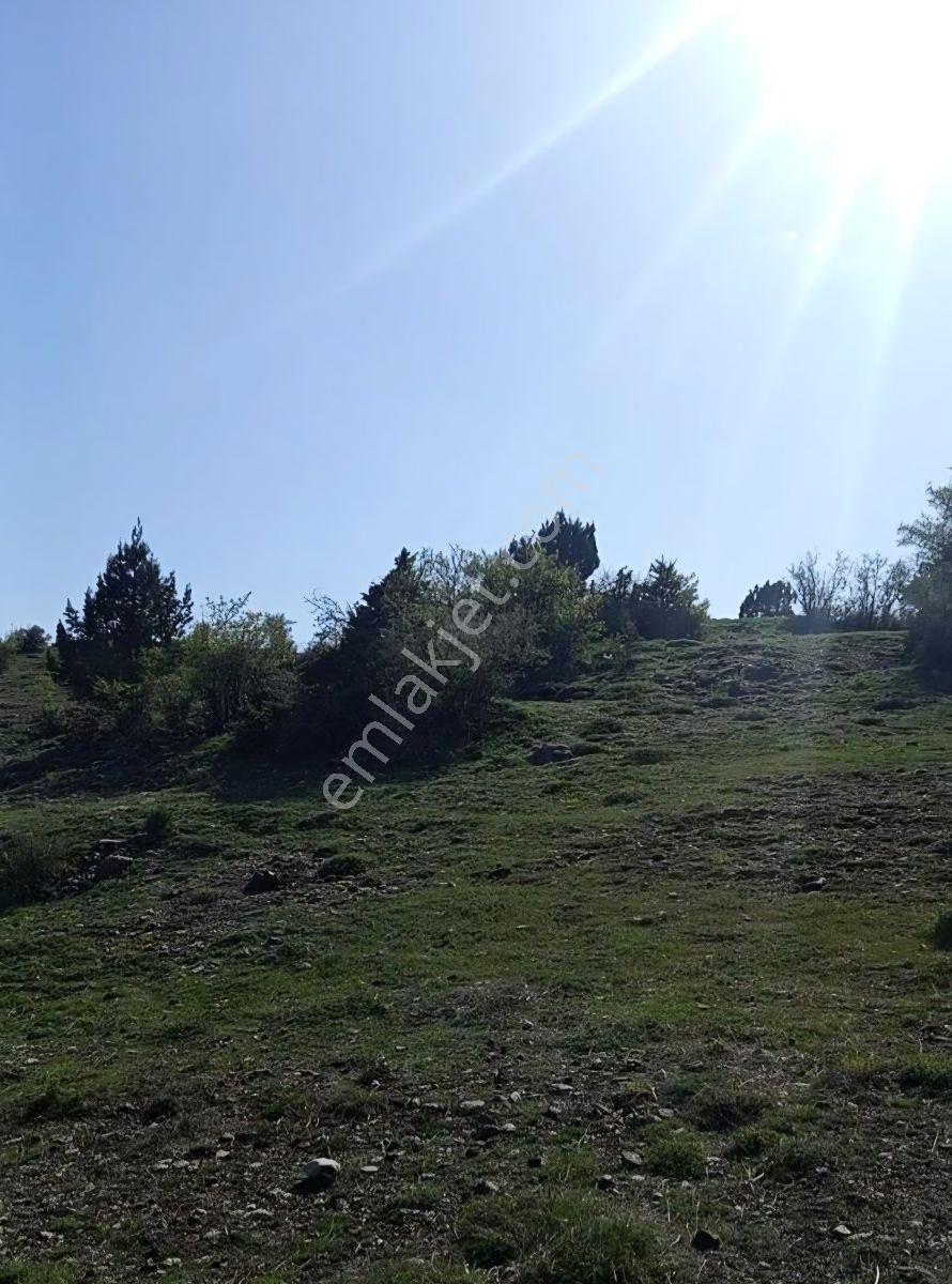 Burdur Altınyayla Ballıkta, 1450 M² Köyiçi İmarlı Arsa - Görsel 8