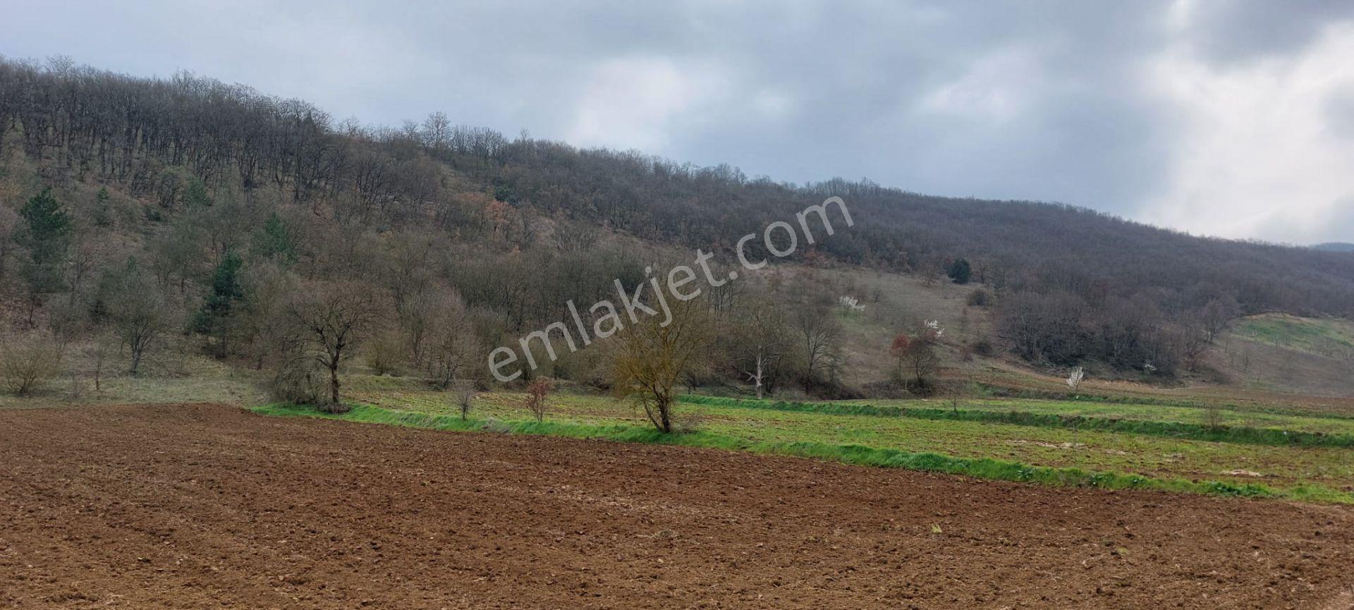 Soğuksu Ve Yağmurlu Köyleri Arasında Doğa İle İç İçe Sahibinden Yatırımlık Tarla - Görsel 4