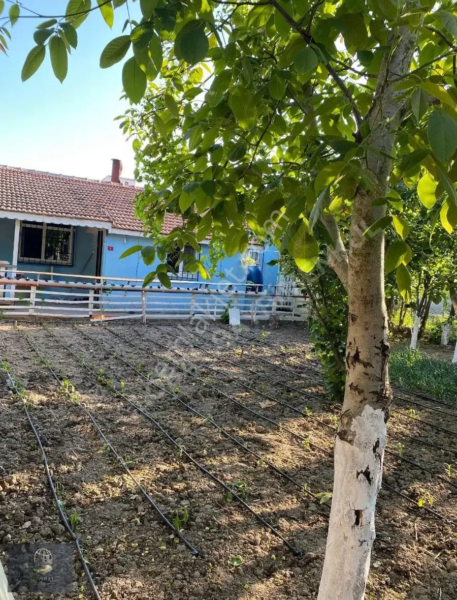 Çorlu Havuzlar 395m2 Arsaiçinde 2014 Yapım Satılık Müstakil Ev - Görsel 4