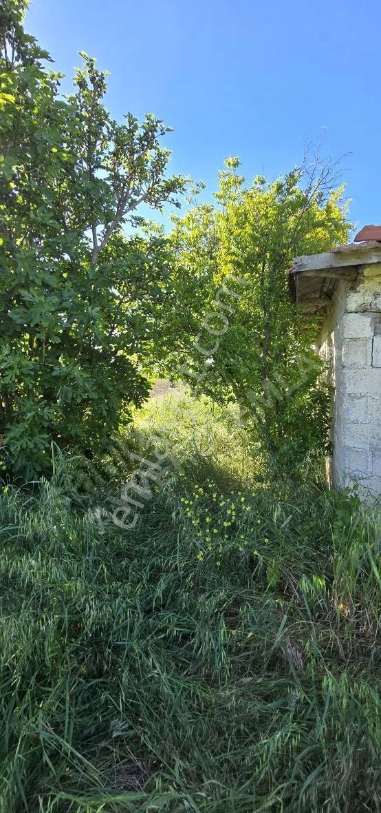 Ayverdi Emlaktan Kırkağaç Bakırda 4.475 M² Tarla - Görsel 12