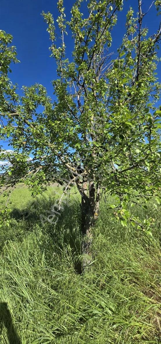 Ayverdi Emlaktan Kırkağaç Bakırda 4.475 M² Tarla - Görsel 14