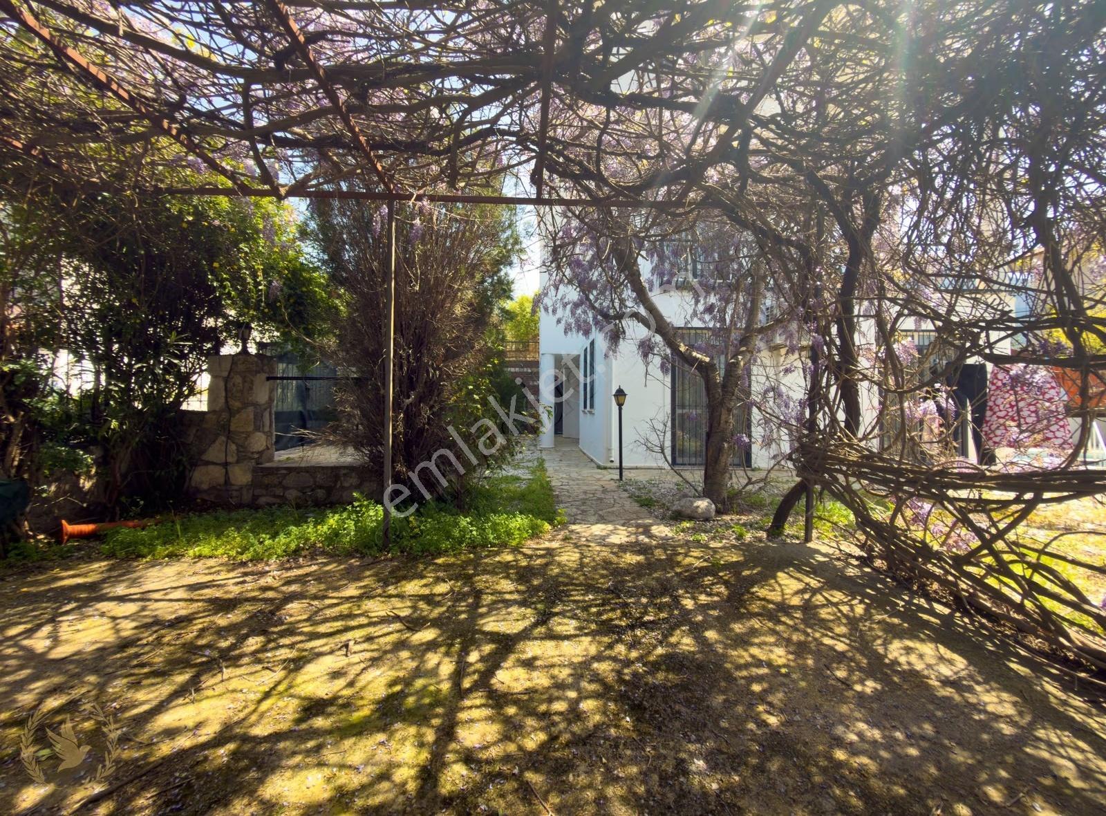 {üst Cadde}525m2 Arsa ,3 Normal Kat ,müstakil Villa - Görsel 28