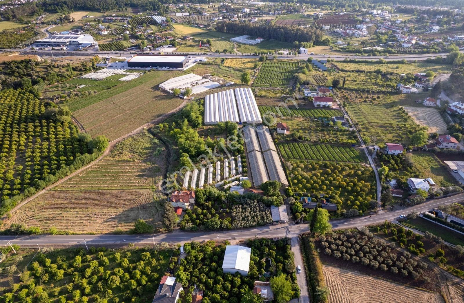 Çiftlik-kargı 20dönüm Sera Ve Narenciye Bahçesi - Görsel 19