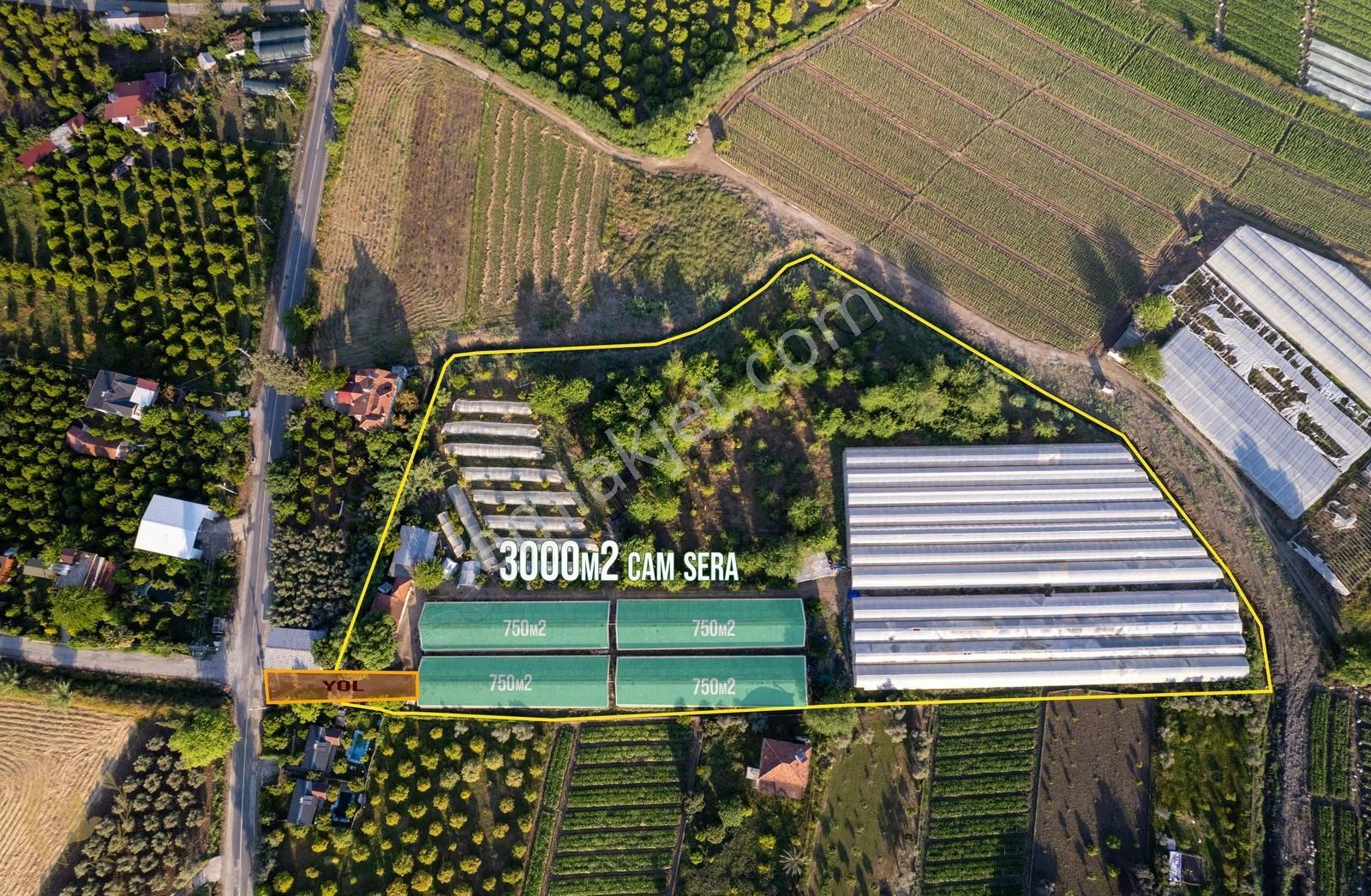 Çiftlik-kargı 20dönüm Sera Ve Narenciye Bahçesi - Görsel 27