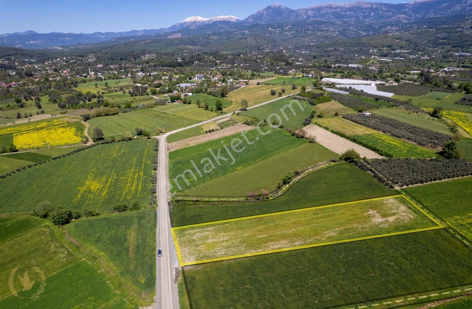5044m2 Tarla [güneşli] Merkezi Konum -kadastrol Yola Cephe- - Görsel 5