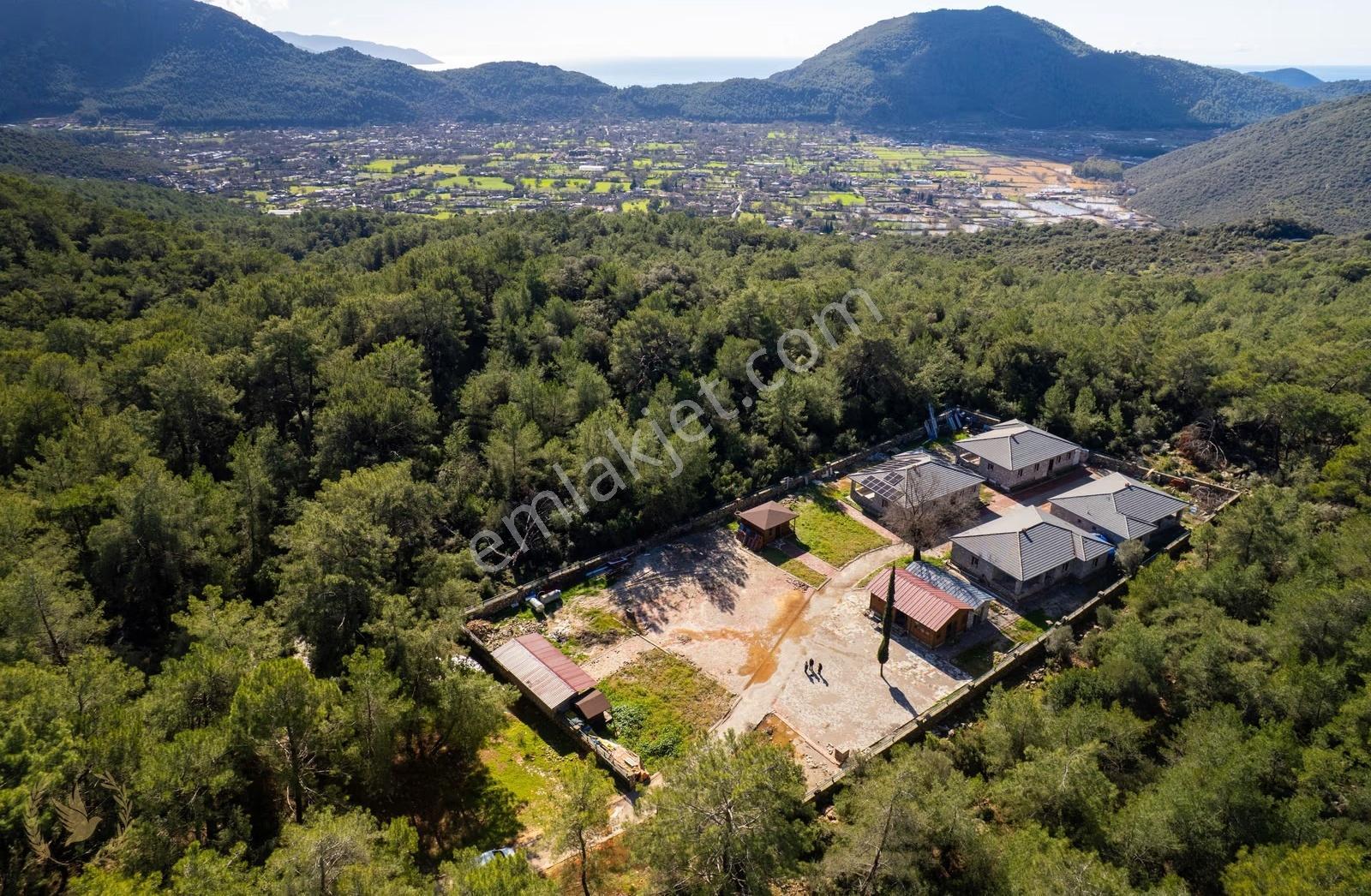 3700m2{kayaköy -orman'ın İçinde} 4 Villa Ve Tesis'i Kiralık