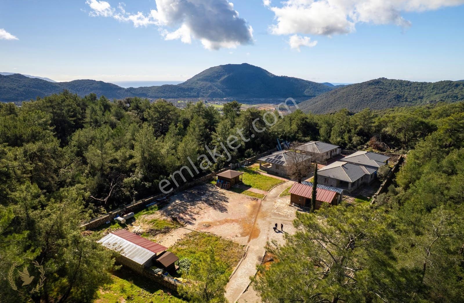 3700m2{kayaköy -orman'ın İçinde} 4 Villa Ve Tesis'i Kiralık - Görsel 14