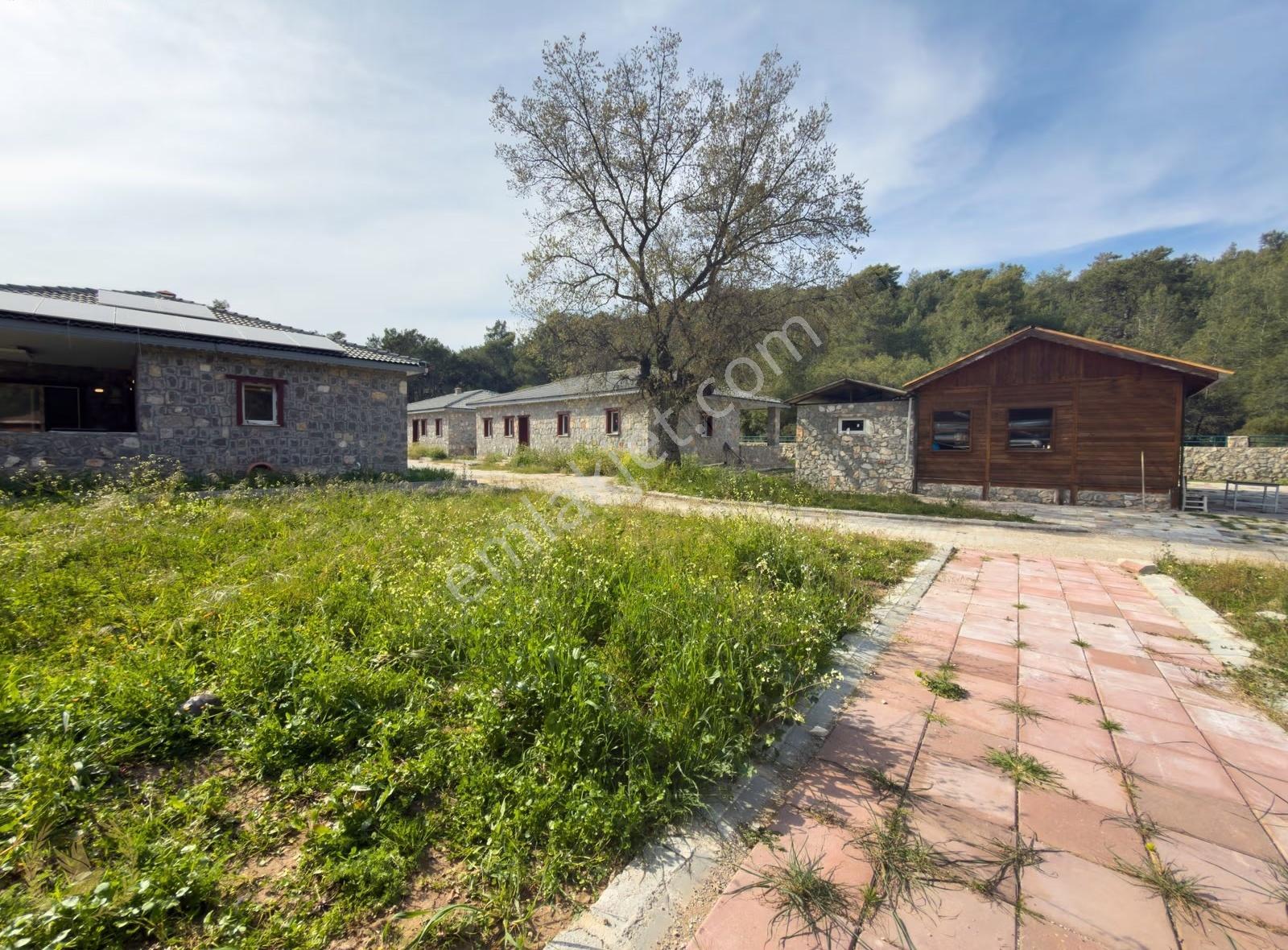 3700m2{kayaköy -orman'ın İçinde} 4 Villa Ve Tesis'i Kiralık - Görsel 25