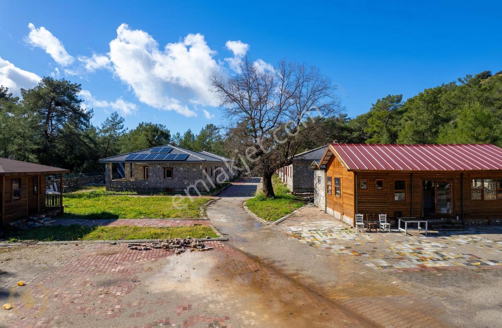 3700m2{kayaköy -orman'ın İçinde} 4 Villa Ve Tesis'i Kiralık - Görsel 20