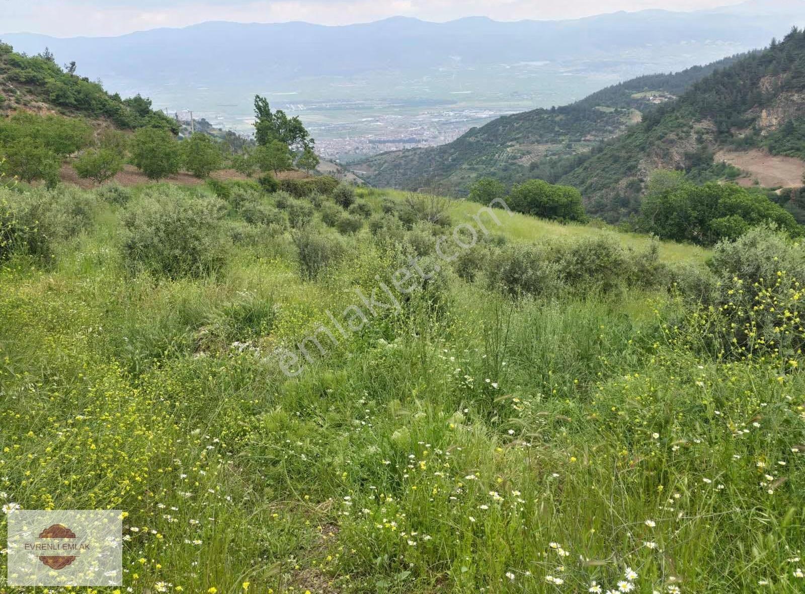 Evrenli Group Gayrimenkul'den Satılık Bağ Tarla Kozluca Mh. - Görsel 3