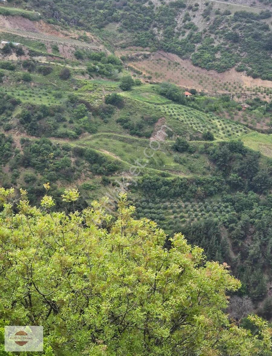 Evrenli Group Gayrimenkul'den Satılık Bağ Tarla Kozluca Mh. - Görsel 2