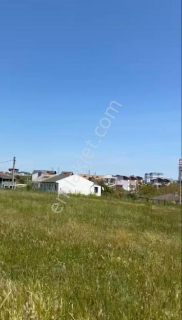 Biga Karabiga Zeytinlik Mah. 364 M2 Villa İmarlı Arsa - Görsel 5