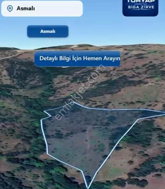 Çanakkale / Çan / Asmalı Köyünde 23.852m2 Yatırımlık Fırsat! - Görsel 7