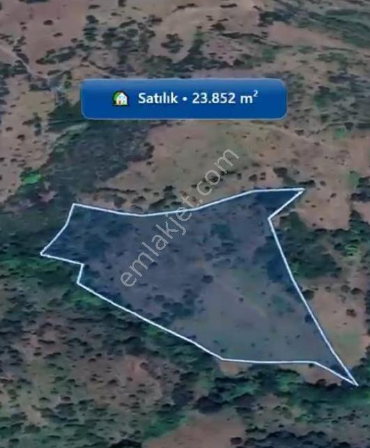 Çanakkale / Çan / Asmalı Köyünde 23.852m2 Yatırımlık Fırsat! - Görsel 3