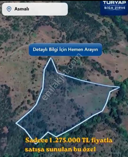 Çanakkale / Çan / Asmalı Köyünde 23.852m2 Yatırımlık Fırsat! - Görsel 6
