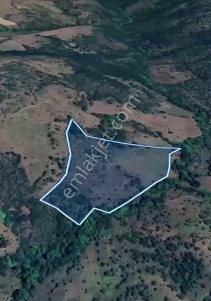 Çanakkale / Çan / Asmalı Köyünde 23.852m2 Yatırımlık Fırsat! - Görsel 4