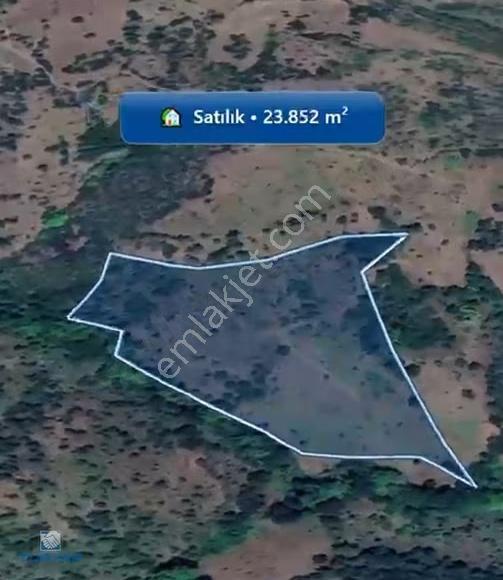 Çanakkale / Çan / Asmalı Köyünde 23.852m2 Yatırımlık Fırsat!