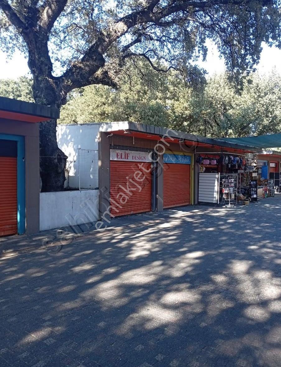 Burhaniye Ören Mahallesi Devren Satılık Hediyelik Eşya Dükkanı - Görsel 4