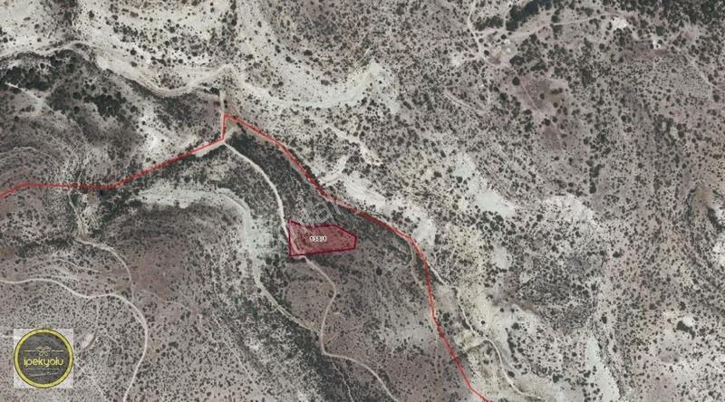 İpekyolu Gayrimenkulden Kuyucak 1601 M2 Satılık Tarla