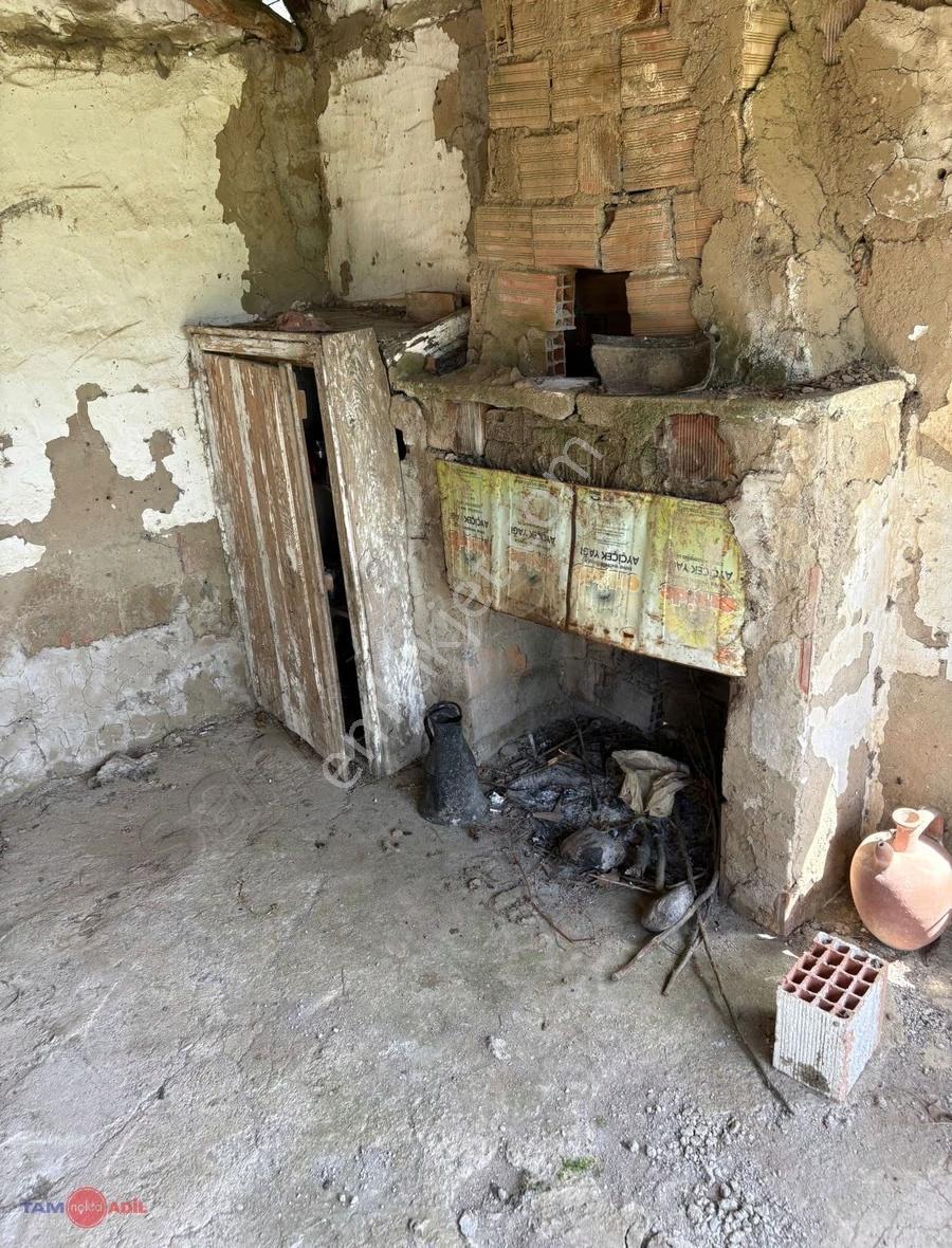 Bergama Tırmanlar Köyünde Satılık Cevizlik - Görsel 15