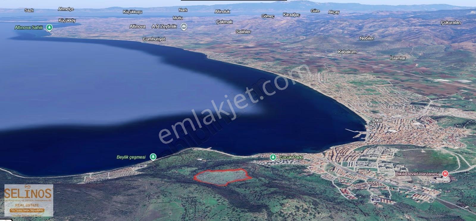 Dikili Uzunburun Tek Tapu En Büyük Parsel 95 Dönüm