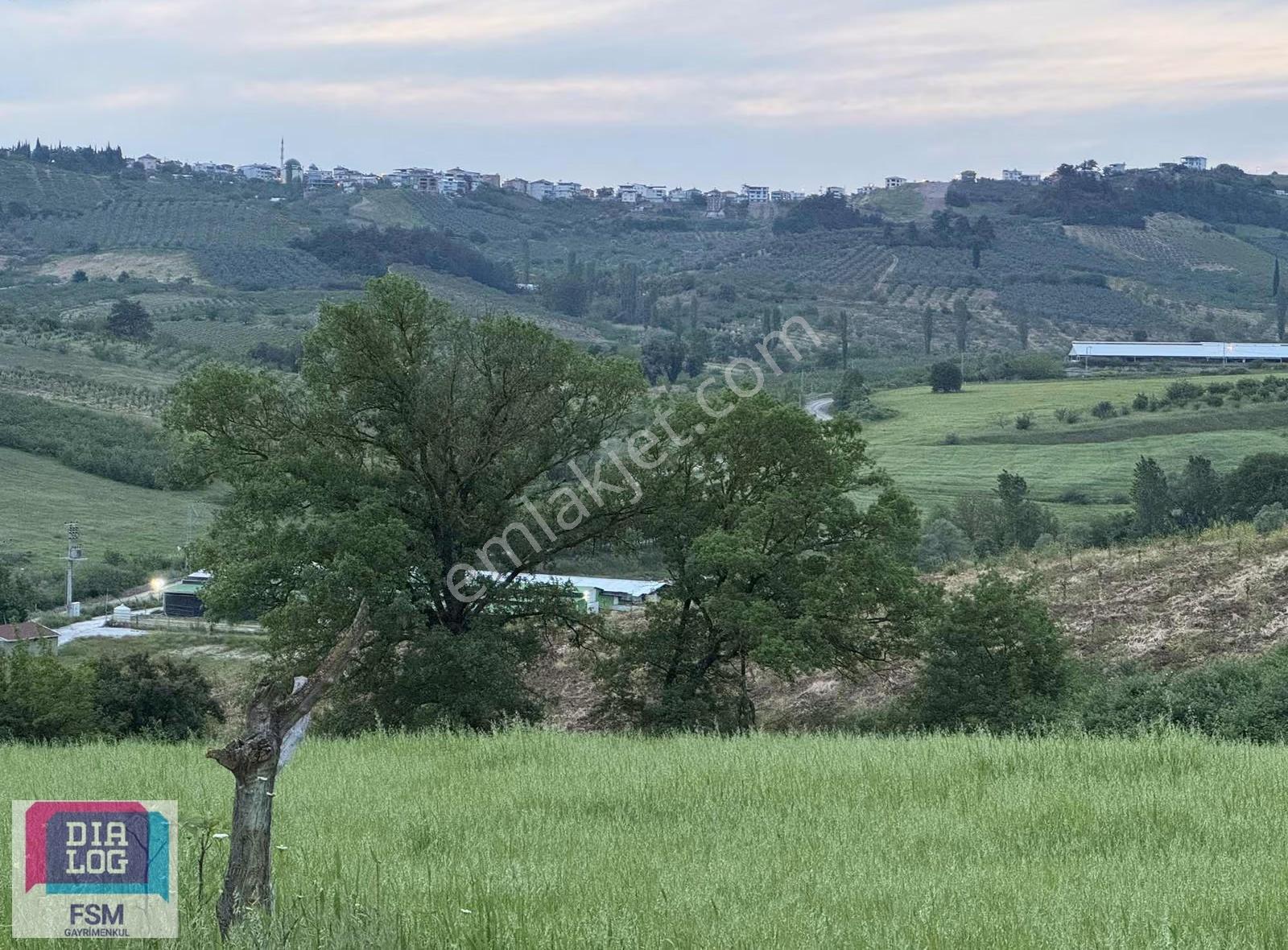 Bursa Osmangazi Avdancık Mah De Yola Cephe Satılık Araziii - Görsel 6