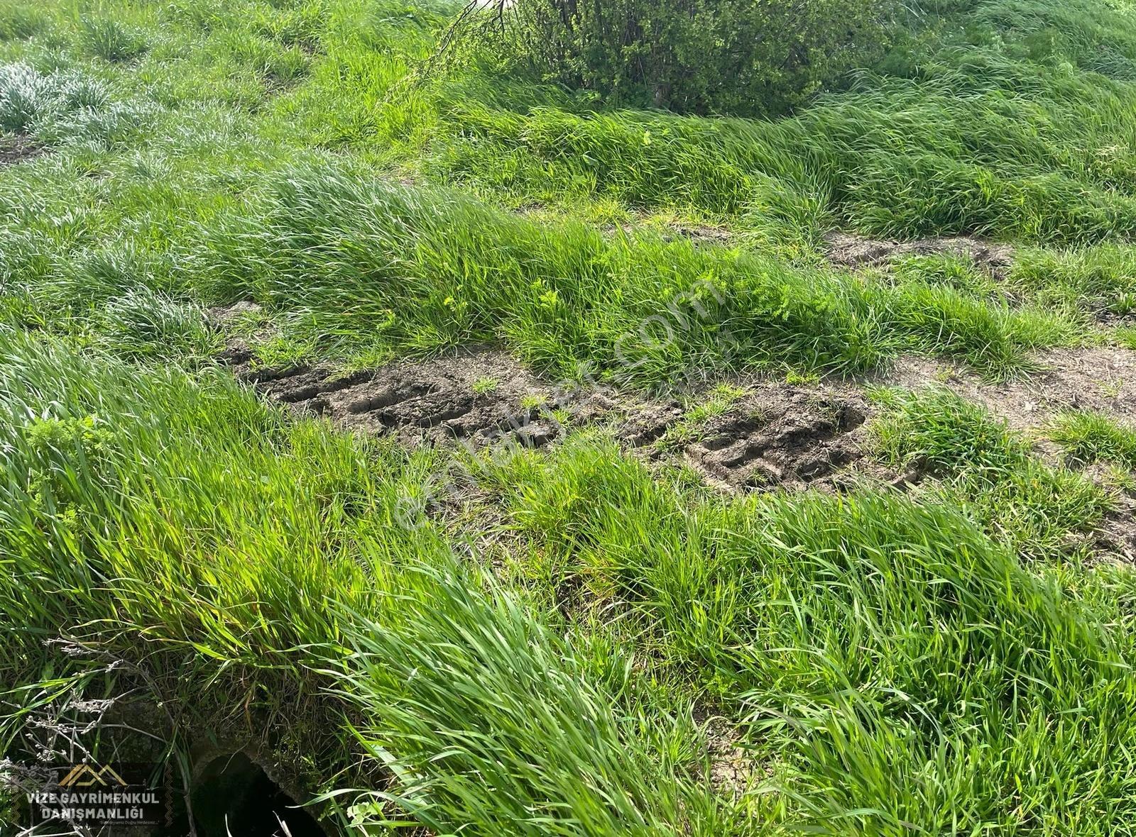Vize Çakıllıda 2.441 M2 Müstakil Tek Tapu Satılık Arazi - Görsel 17