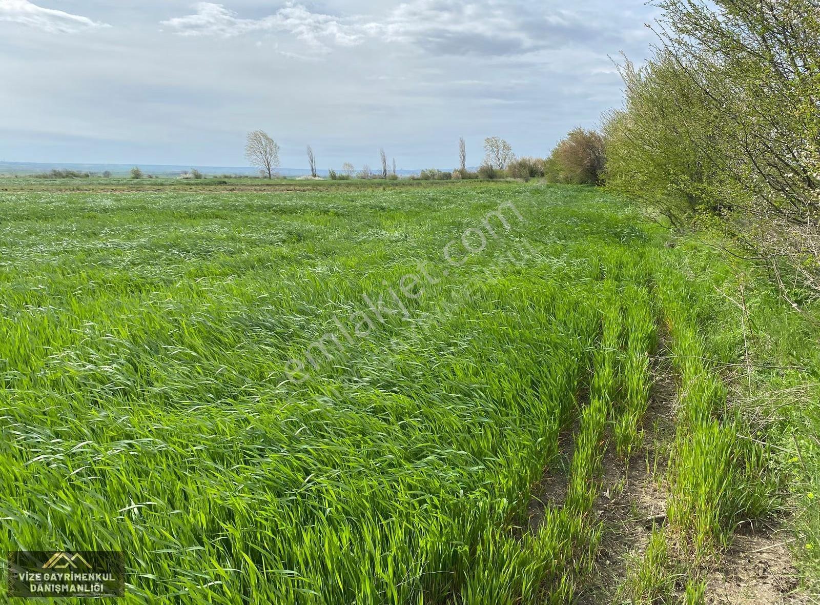 Vize Çakıllıda 2.441 M2 Müstakil Tek Tapu Satılık Arazi - Görsel 13
