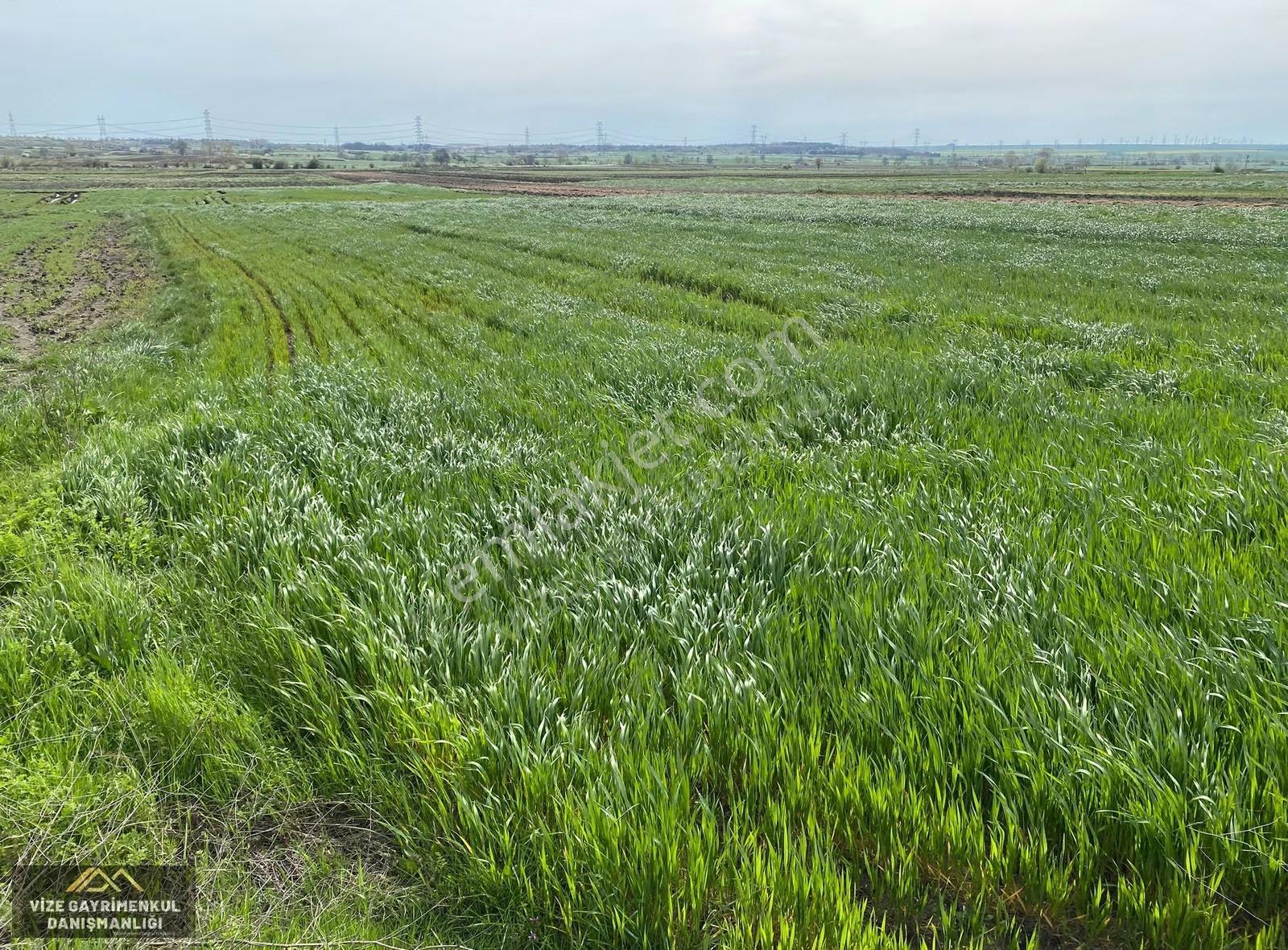 Vize Çakıllıda 2.441 M2 Müstakil Tek Tapu Satılık Arazi - Görsel 14