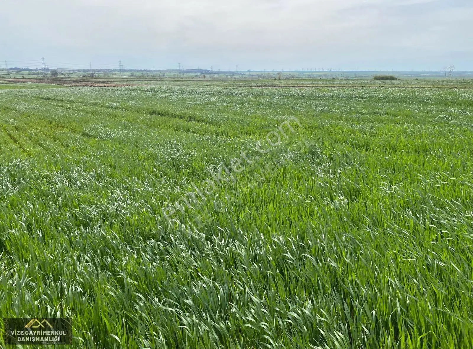Vize Çakıllıda 2.441 M2 Müstakil Tek Tapu Satılık Arazi - Görsel 4