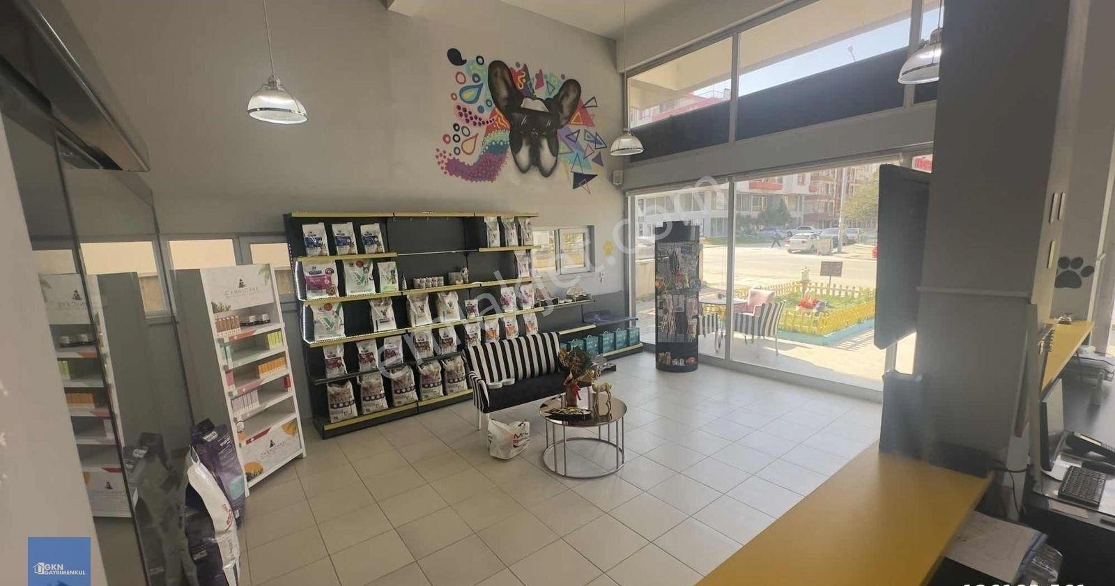 Şemsettın Günaltay Cadde Üzeri Kiracılı - Görsel 15